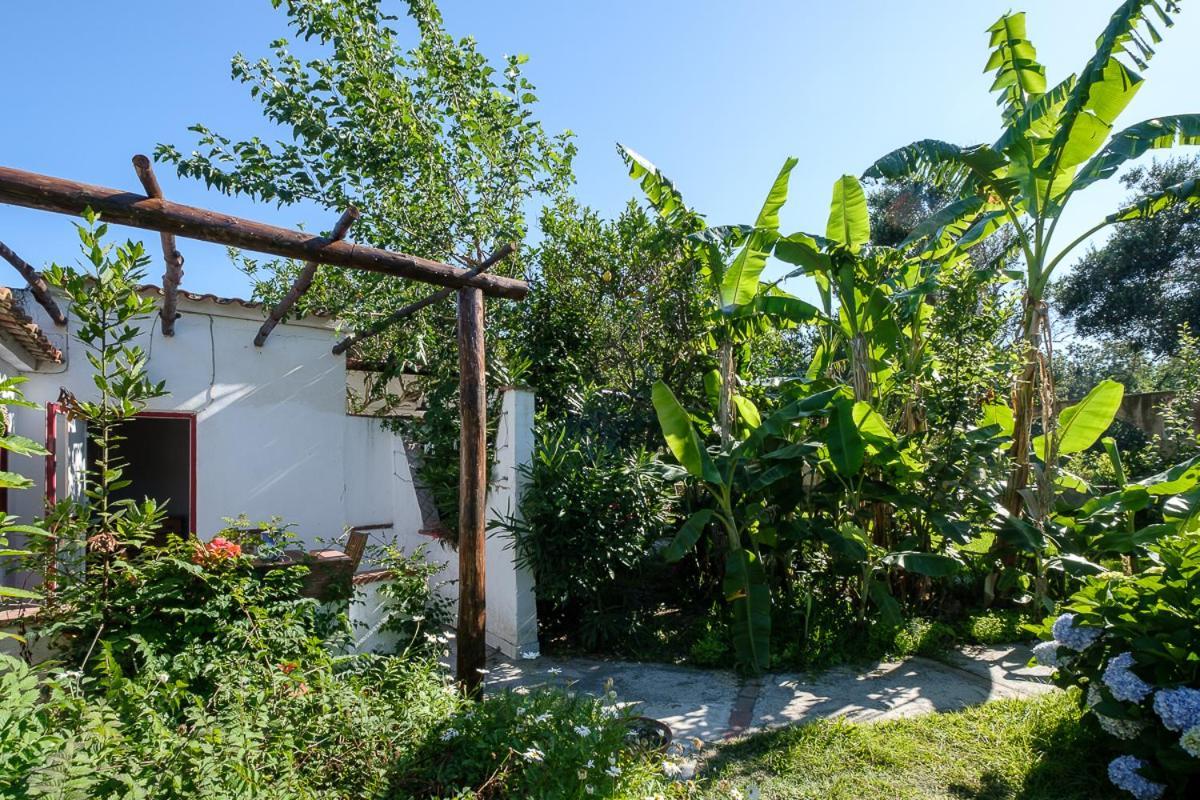 La Rosa Dei Venti Aparthotel Procida Exterior foto