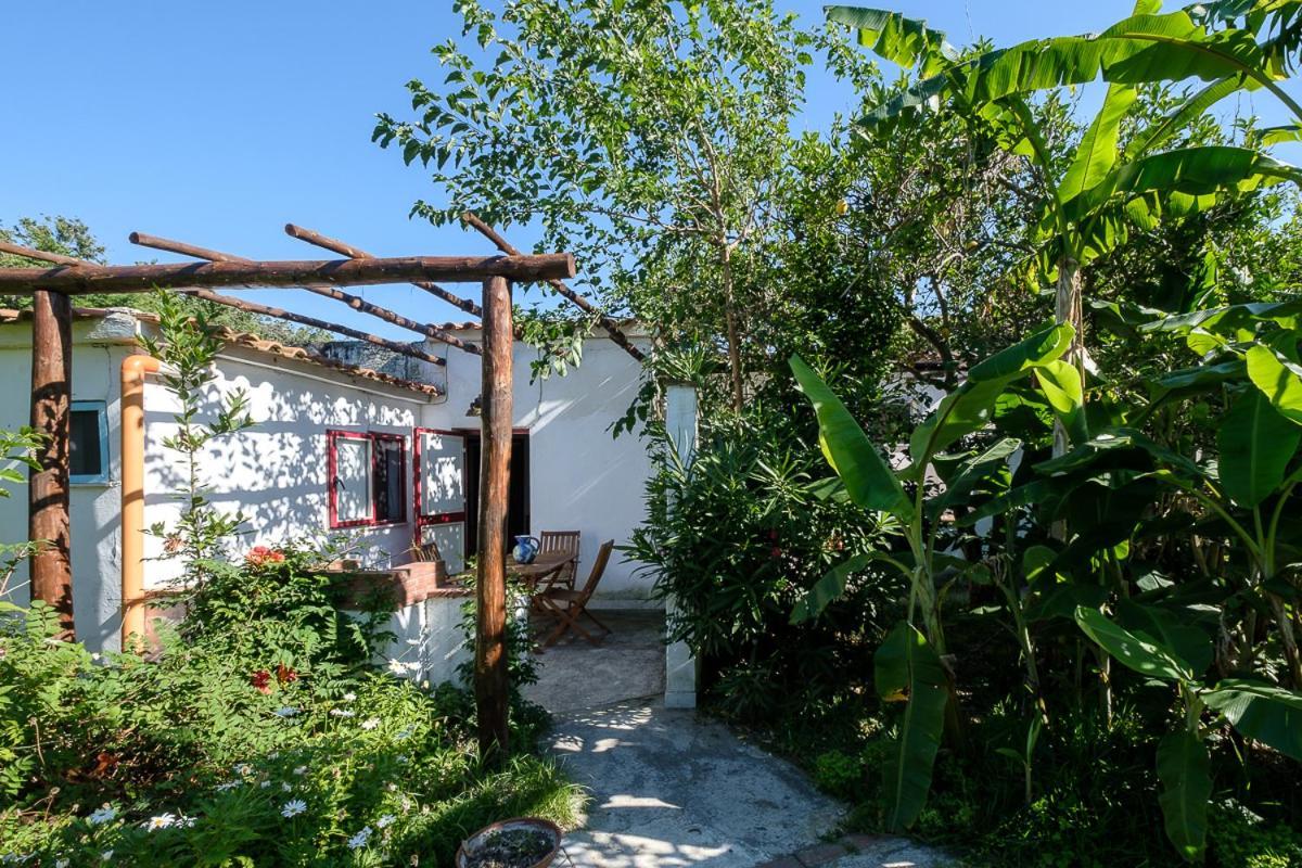 La Rosa Dei Venti Aparthotel Procida Exterior foto