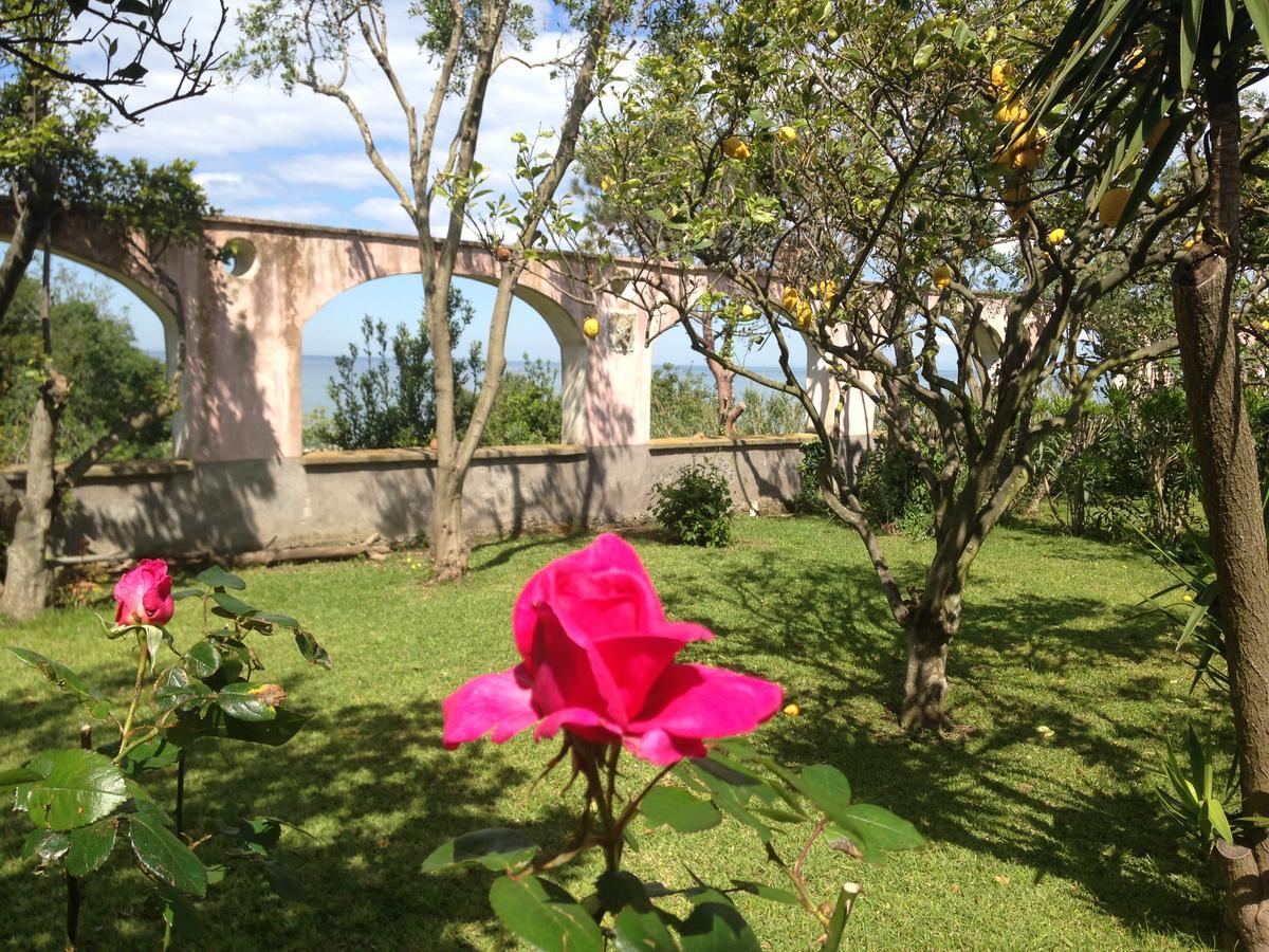 La Rosa Dei Venti Aparthotel Procida Exterior foto